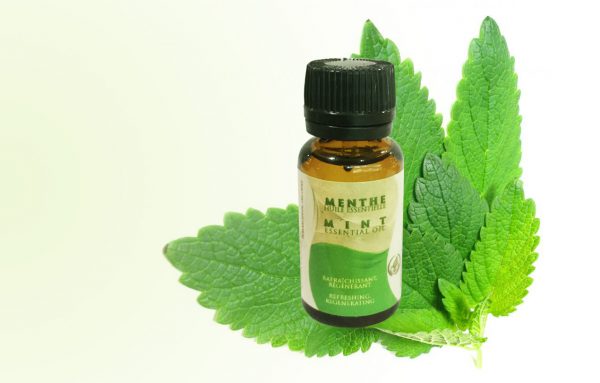 mint essential oil by Atlas Cosmetics