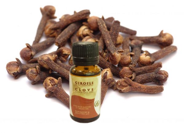 clove essential oil