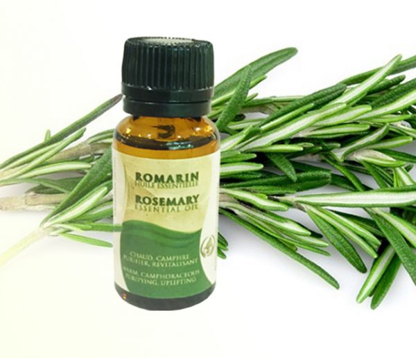 rosemary essential oil
