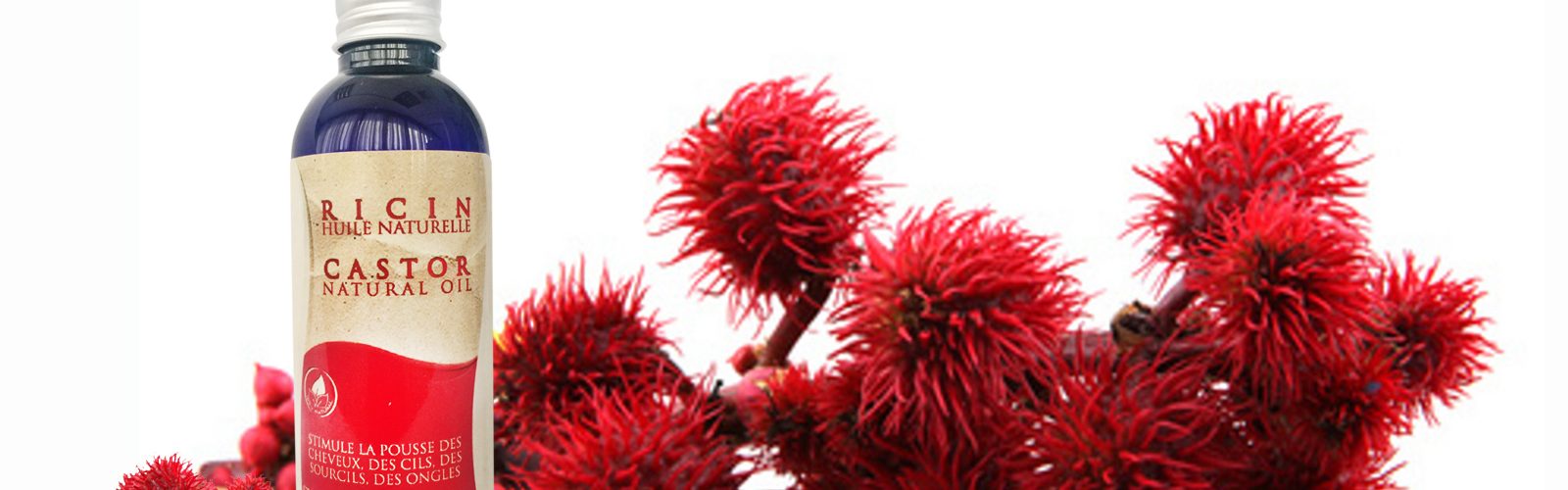 Castor Natural Oil 100ml by Azoor