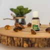 Thyme Essential Oil Azoor