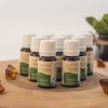 Thyme Essential Oil Azoor