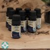 Blue Tansy Azoor essential oil