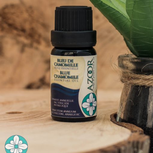 Blue Chamomile Azoor essential oil