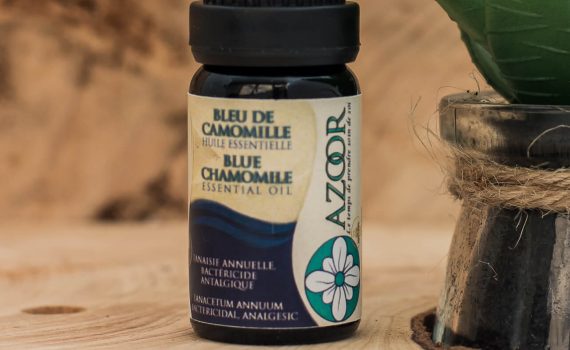 Blue Chamomile Azoor essential oil