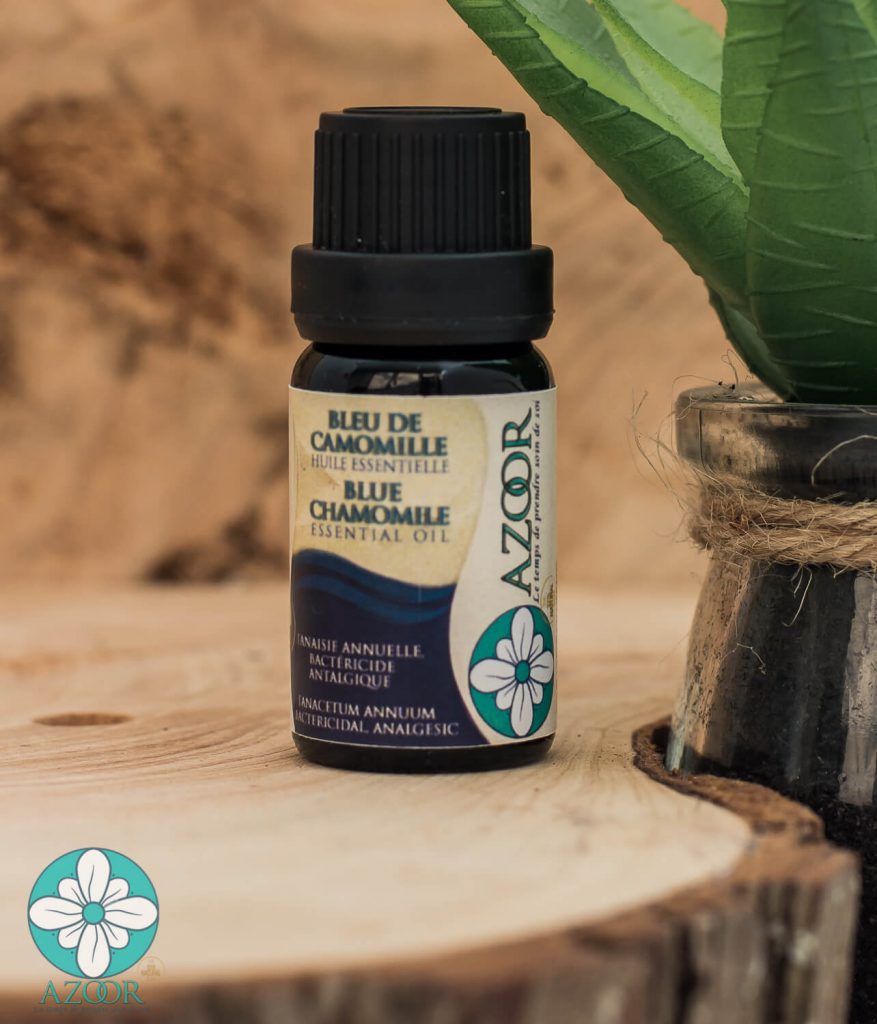 Blue Chamomile Azoor essential oil