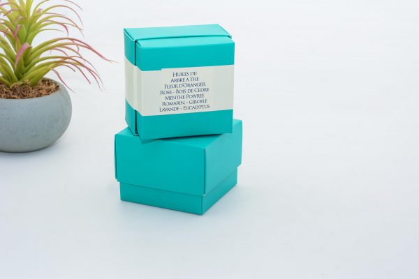 Pack 9 Essential Oils for Aromatherapy Azoor