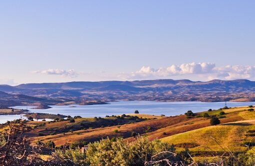 Nature’s precious gifts, photography by Yous Sufi