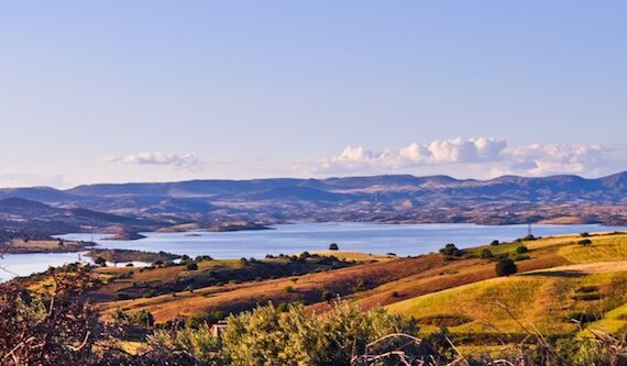 Nature’s precious gifts, photography by Yous Sufi